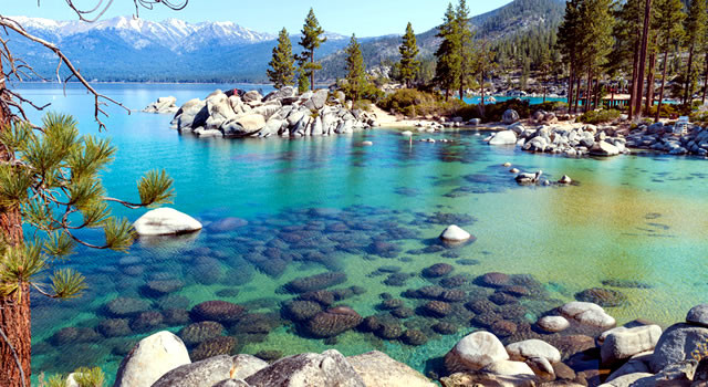 Photo of Lake Tahoe with surrounding trees and mountains in the back